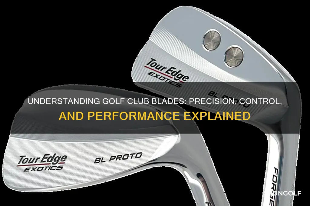 what are golf club blades