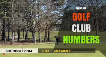 Understanding Golf Club Numbers: A Beginner's Guide to Club Selection