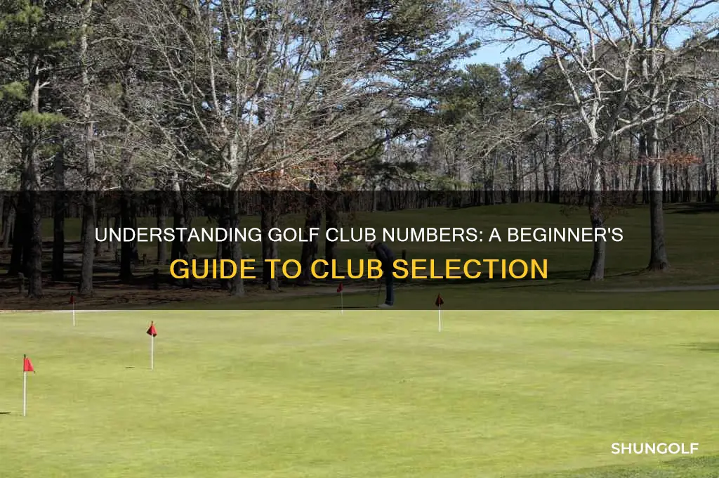 what are golf club numbers