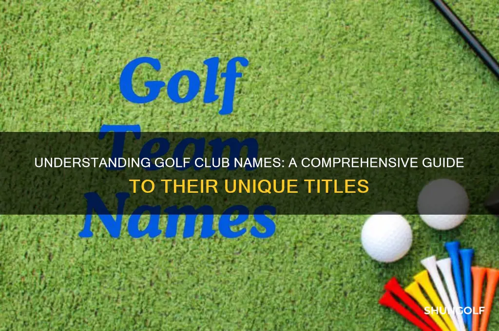 what are golf clubs called