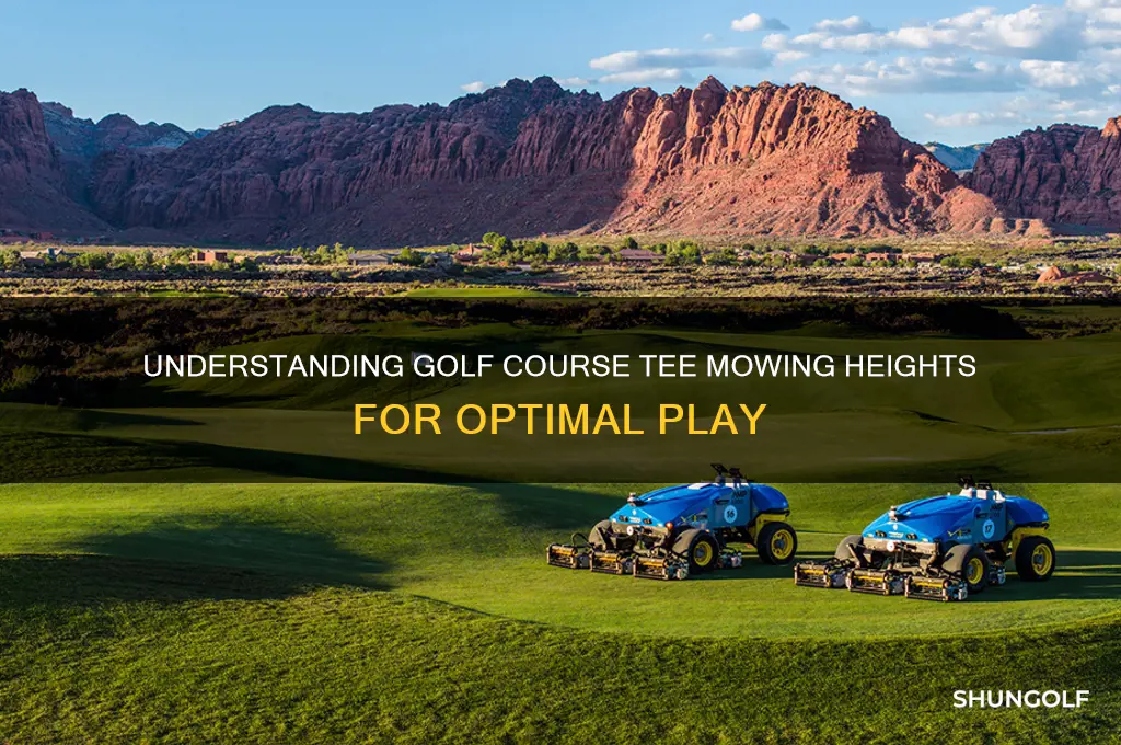 what are golf course tee