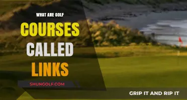 Understanding the Origins and Meaning of Golf Courses Called Links