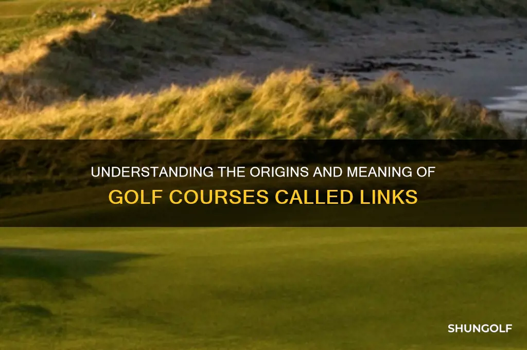 what are golf courses called links