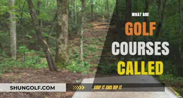 Understanding Golf Course Terminology: Names, Types, and Their Meanings