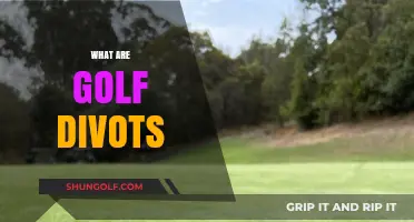 Golf Divots: What, Why, and How?