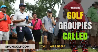 Golf Groupies: What Are They and Why?