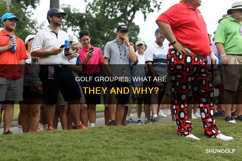 what are golf groupies called