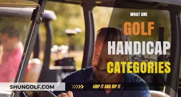 Understanding Golf Handicap Categories: A Beginner's Guide to Levels