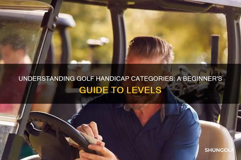 what are golf handicap categories