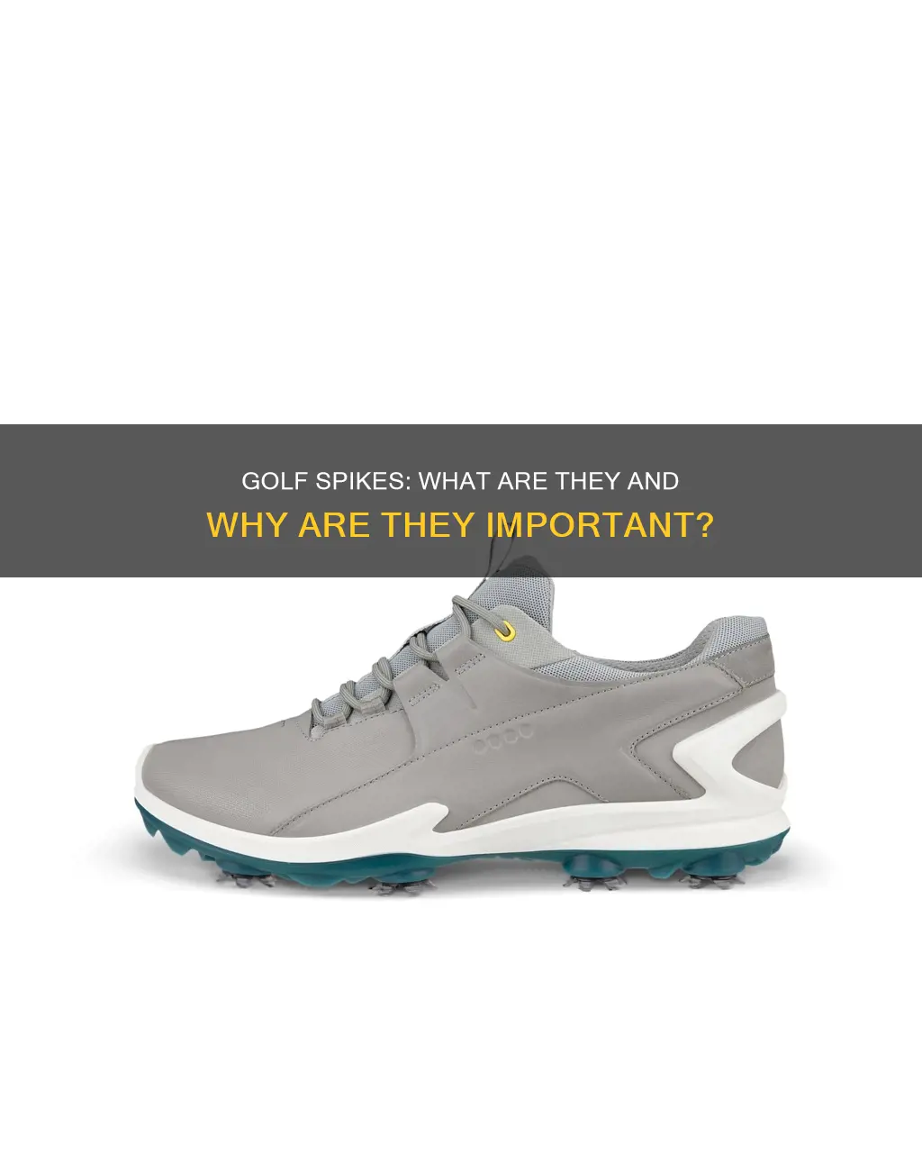 what are golf spikes