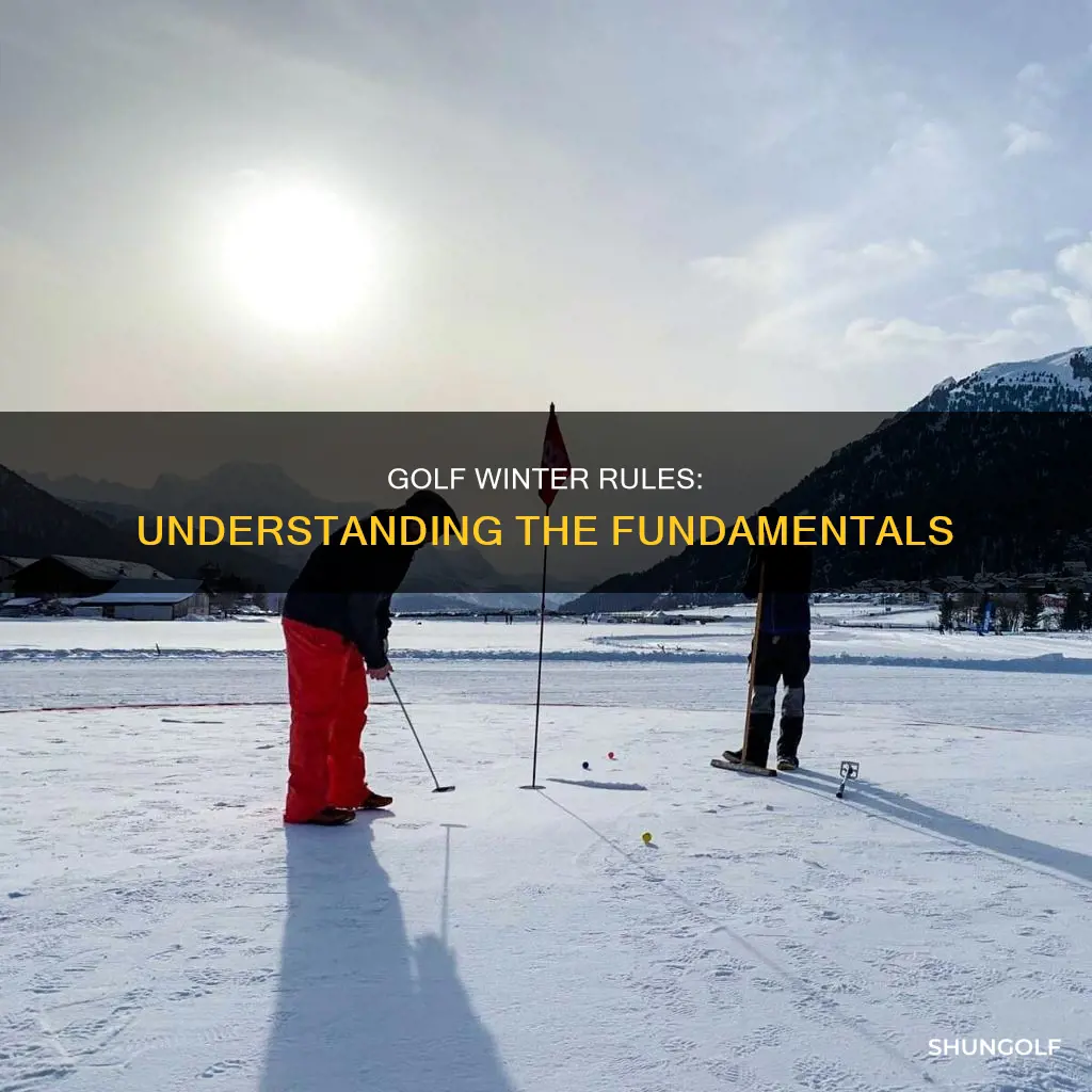 what are golf winter rules