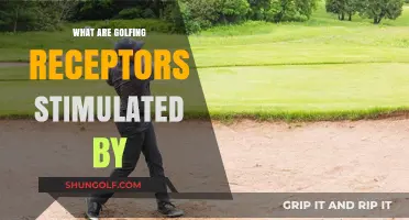 Golfing Receptors: What Activates Them?