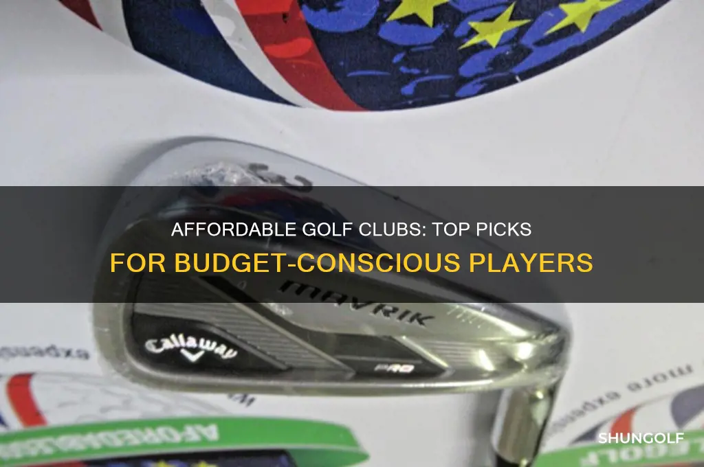 what are good cheap golf clubs