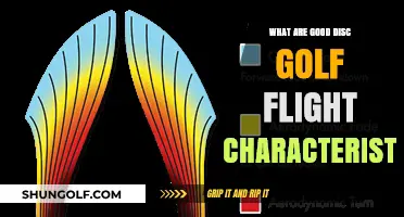 Mastering the Skies: Essential Disc Golf Flight Traits