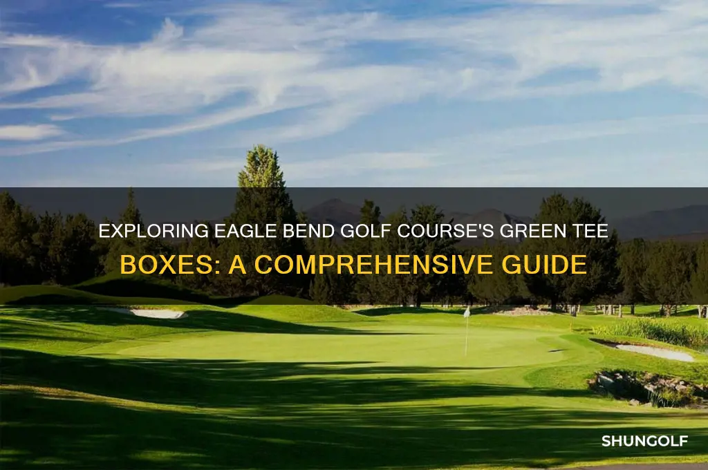 what are green tee boxes at eagle bend golf course