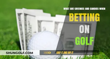 Understanding Greenies and Sandies: Golf Betting Terms Explained