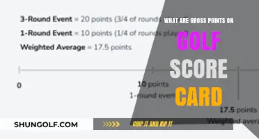Understanding Gross Points on Your Golf Scorecard: A Beginner's Guide