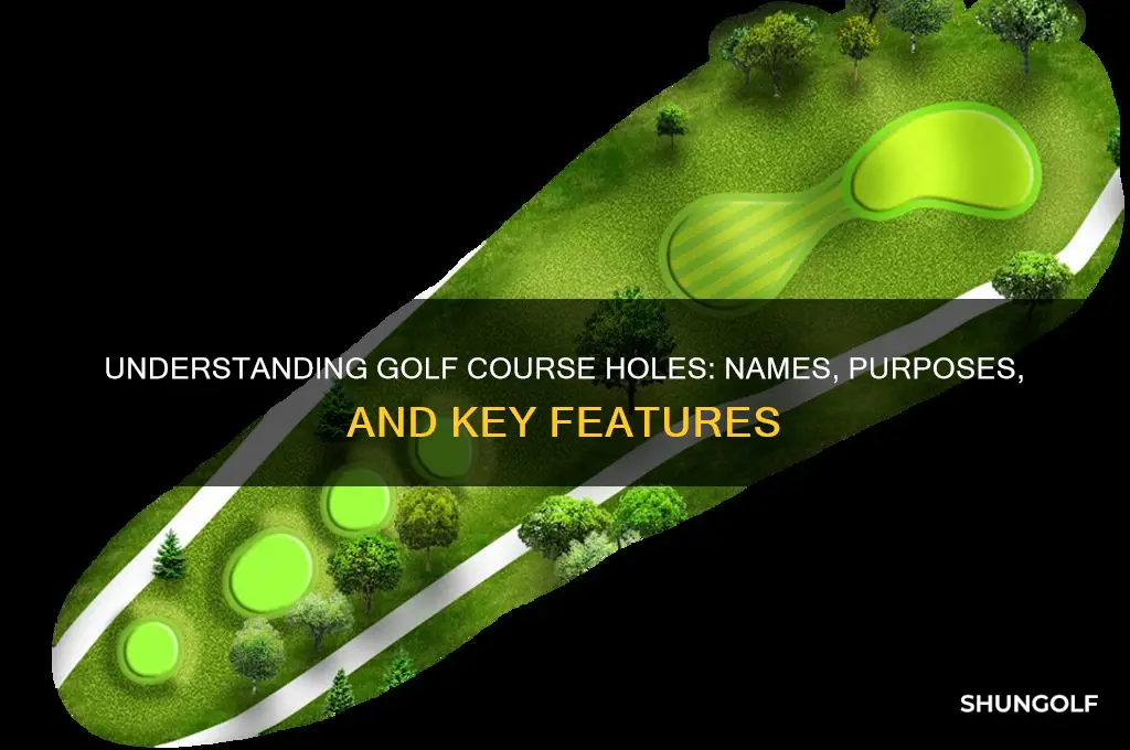what are holes in a golf course called
