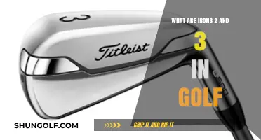 Understanding Golf Irons: The Role of 2 and 3 Irons
