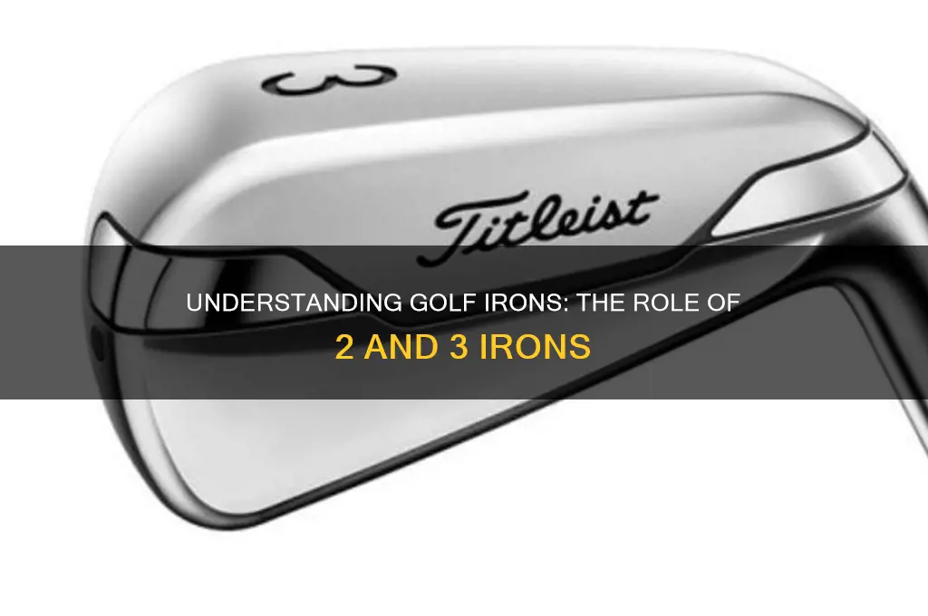 what are irons 2 and 3 in golf