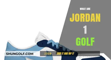Jordan 1 Golf Shoes: A Unique Style on the Green