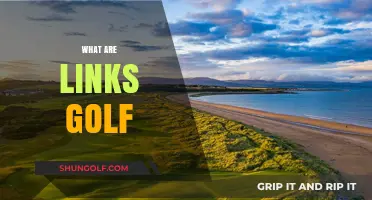 Golf's Ancient Roots: Links Courses Explained
