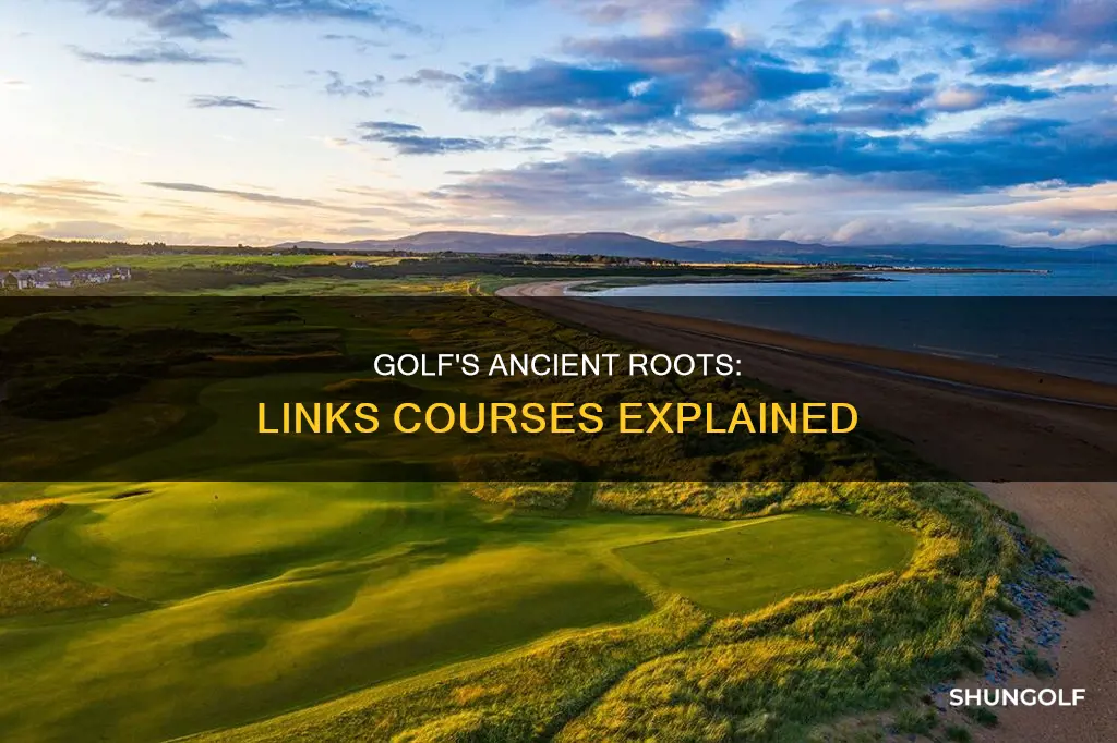 what are links golf