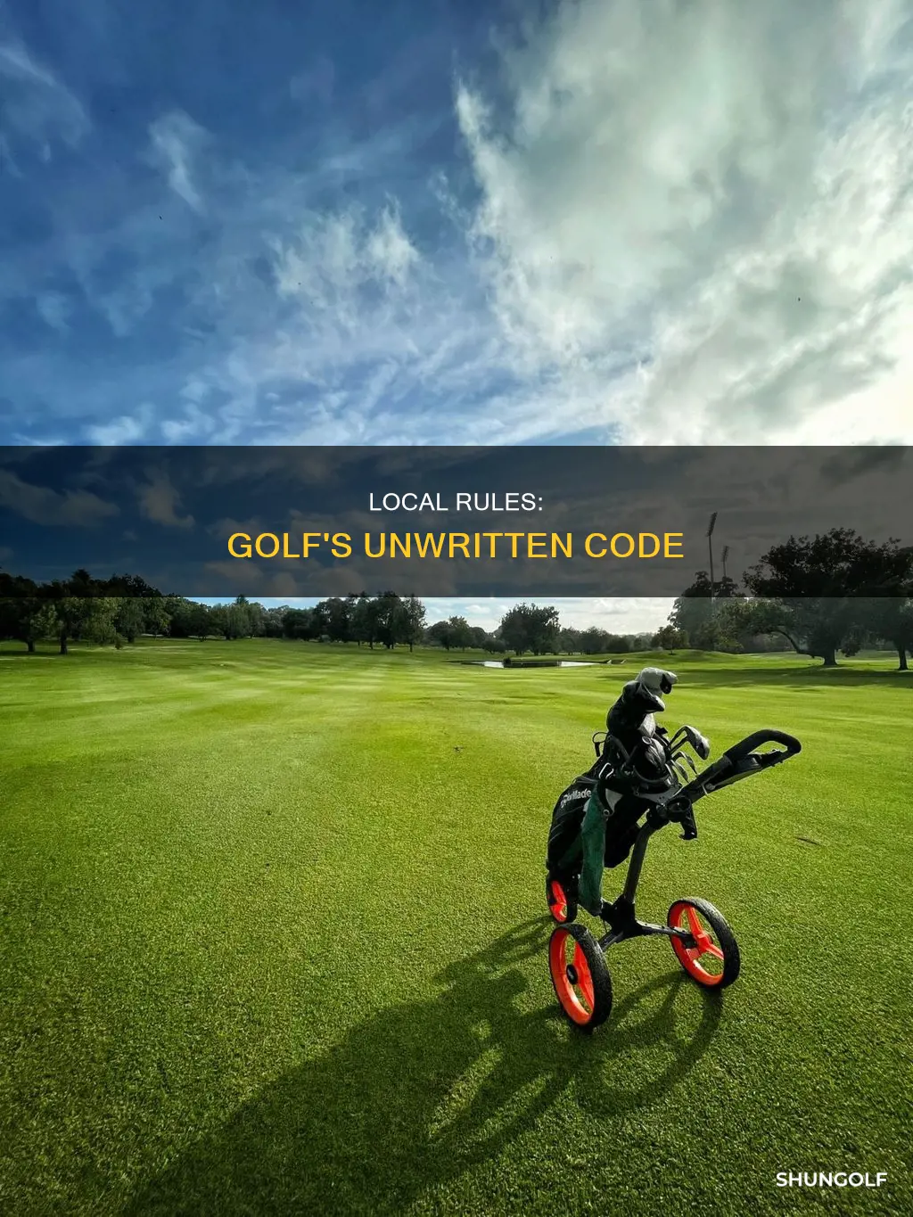 what are local rules in golf