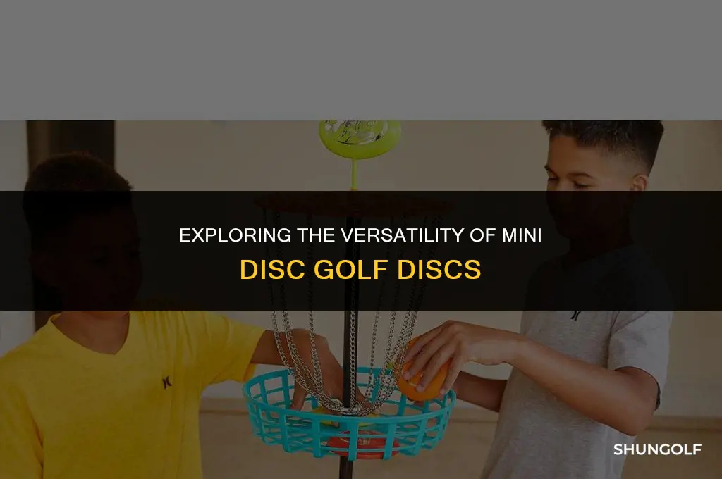 what are mini disc golf discs used for