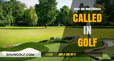 Understanding Golf's Mud Puddles: What Are They Called and Why?