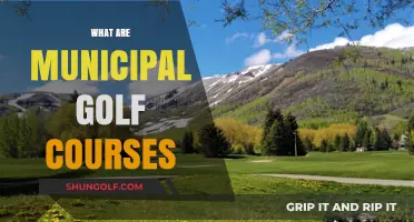 Exploring Municipal Golf Courses: Affordable Public Greens for All Players