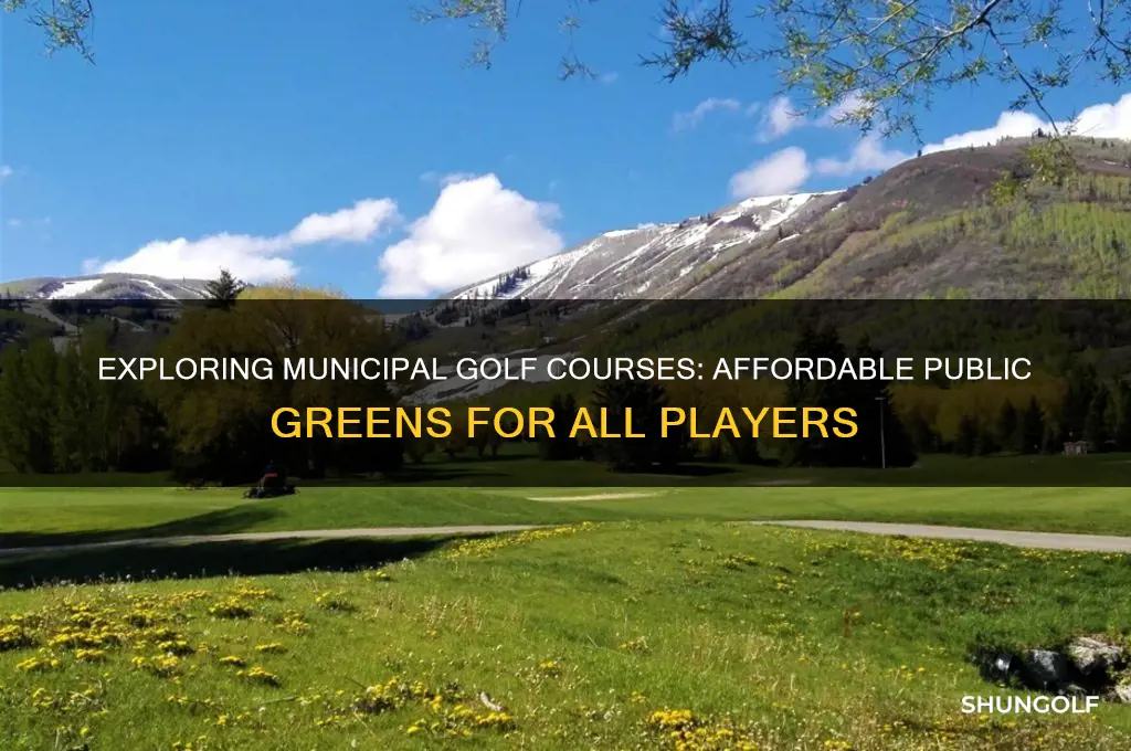 what are municipal golf courses