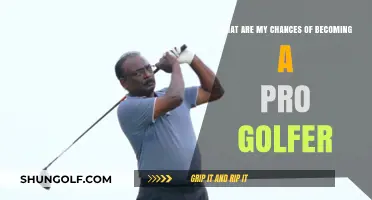 Can You Make It? Assessing Your Pro Golfer Potential