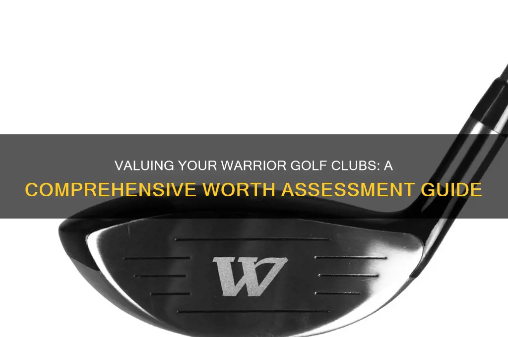 what are my warrior golf clubs worth