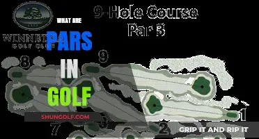 Golf Pars: Understanding the Scoring System