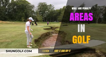 Golf Penalty Areas: What, Where, and Why?