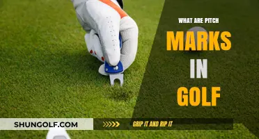 Golf Pitch Marks: What, Why, and How?