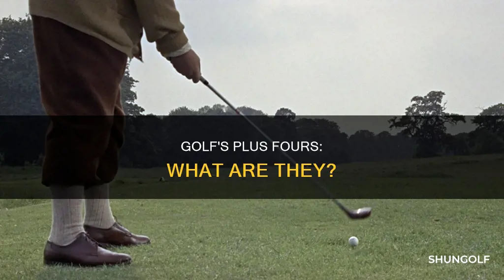 what are plus fours in golf