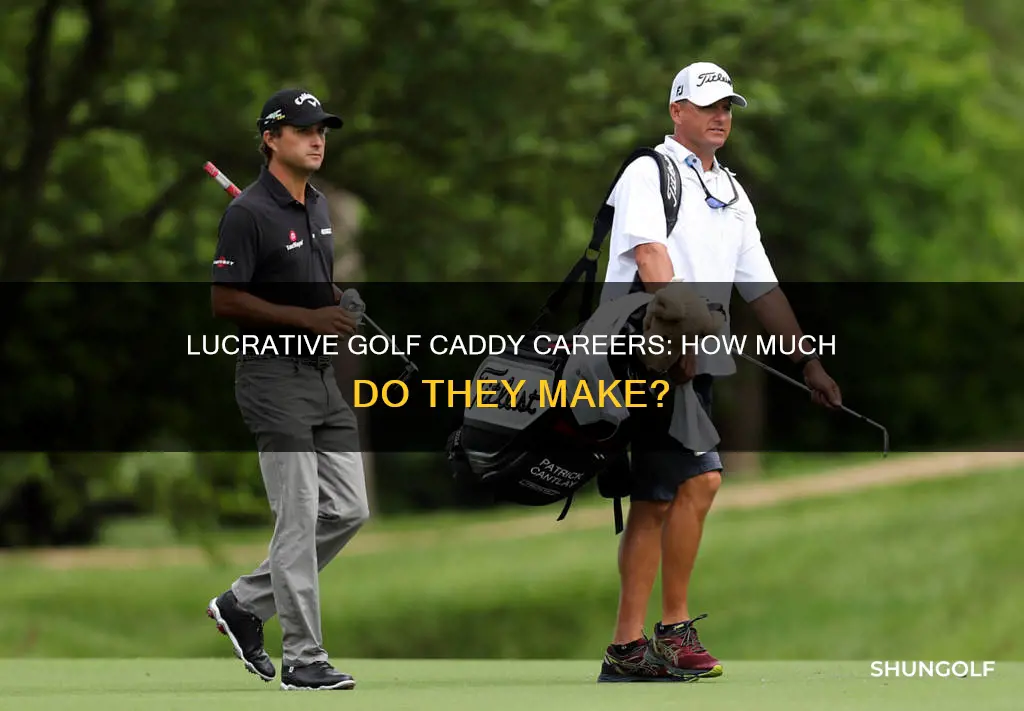 what are professional golf caddies paid