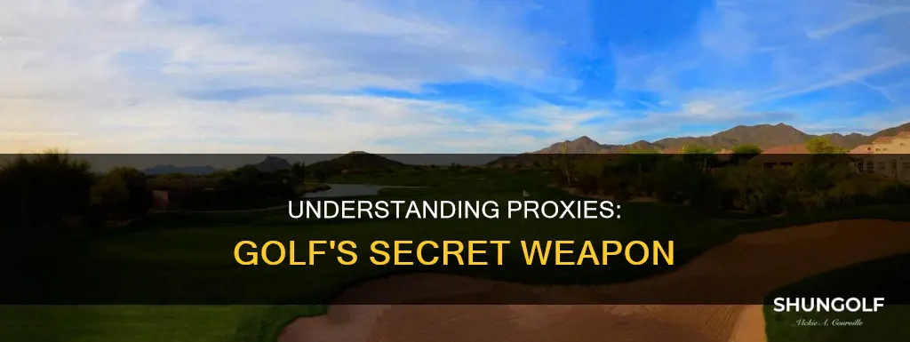 what are proxies in golf