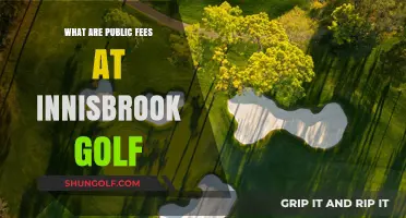 Understanding Public Fees at Innisbrook Golf Resort: A Comprehensive Guide