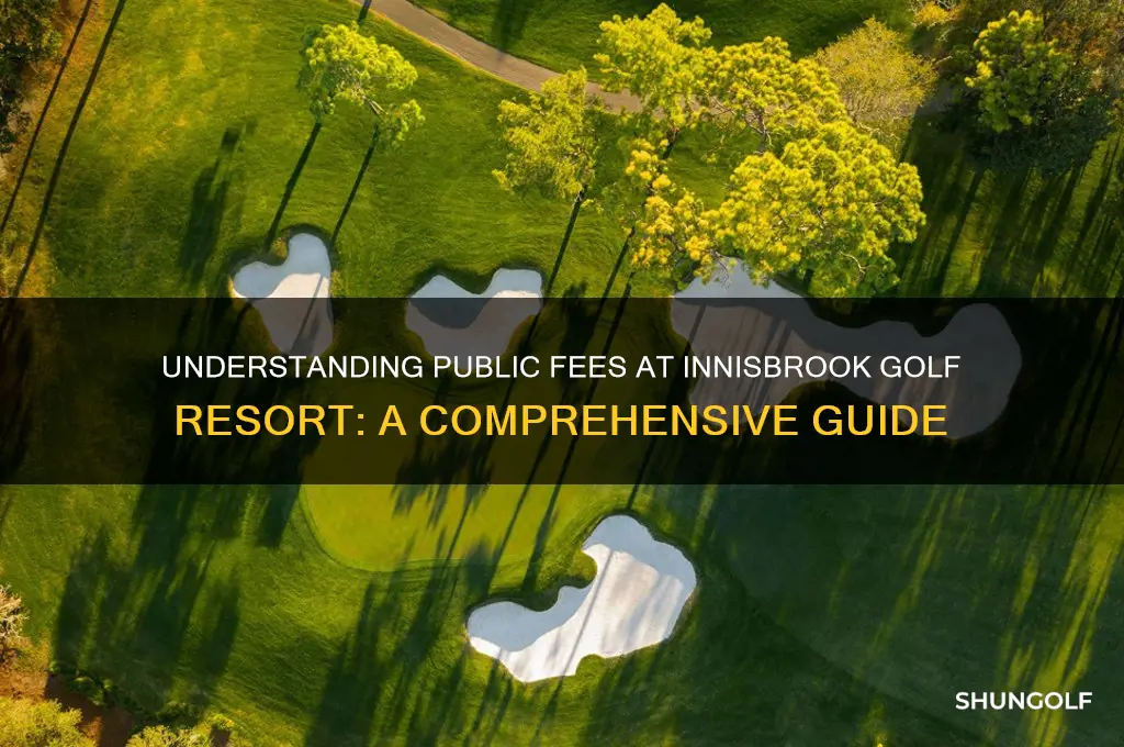 what are public fees at innisbrook golf