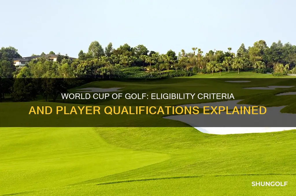 what are qualifications for the world cup of golf