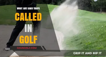 Understanding Golf's Sand Traps: Their Official Name and Strategic Role