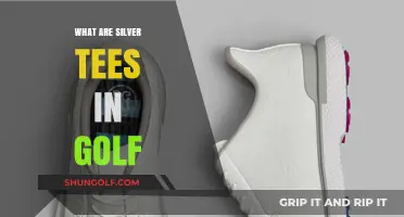 Silver Tees: Golf's New Challenge