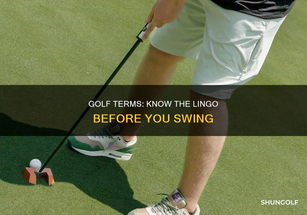 what are some golf terms