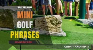 Mini Golf Lingo: Know These Common Phrases
