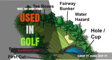 Exploring the Lexicon of Golf: Essential Terms Every Enthusiast Should Know