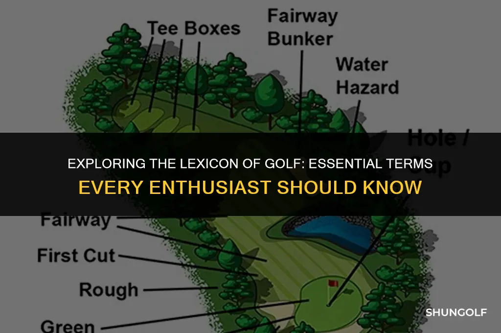 what are some terms used in golf