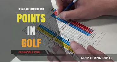 Understanding Stableford Points in Golf